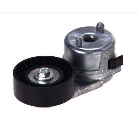 Rola de tensionare curea de transmisie JEEP GRAND CHEROKEE WJ-WG 4.0 99-04 WRANGLER TJ 4.0 00-06 - Dayco-APV2488