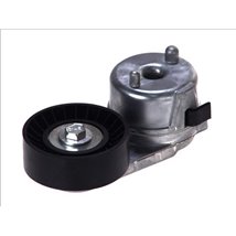 Rola de tensionare curea de transmisie JEEP GRAND CHEROKEE WJ-WG 4.0 99-04 WRANGLER TJ 4.0 00-06 - Dayco-APV2488