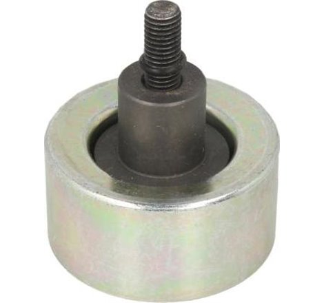 Rola intinzator LAND ROVER RANGE ROVER III. RANGE ROVER SPORT I 3.6D 04.06-03.13 - Dayco-APV2679