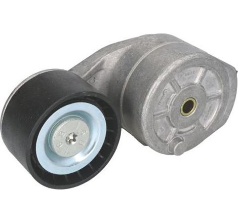 Intinzator curea, curea distributie - Dayco-APV2729