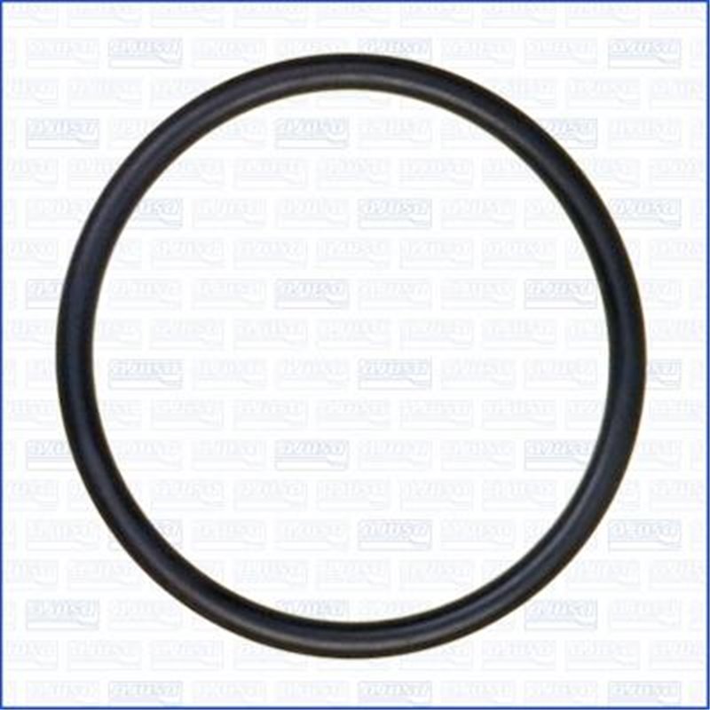 Garnitura termostat - Ajusa-16054000