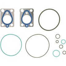 Set garnituri, pompa injectie - Delphi-7135-693