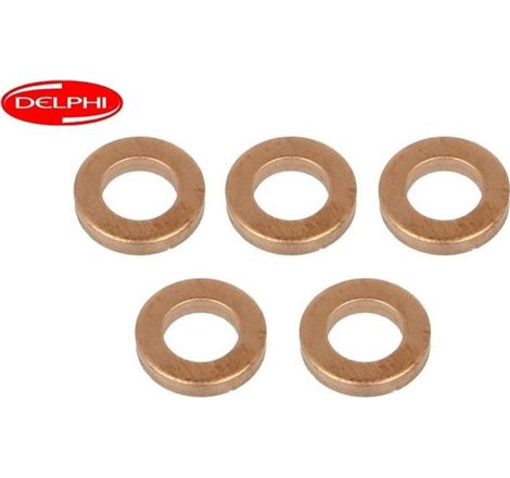 Inel etansare. injector - Delphi-9001-850K - Delphi-9001-850K