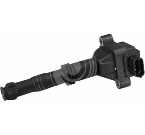 Bobina de aprindere BMW 3 E36. 3 E46. 5 E39. 7 E38. X5 E53. Z3 E36. Z8 E52 2.0-5.4 01.91-12.07 - Delphi-GN10016-12B1