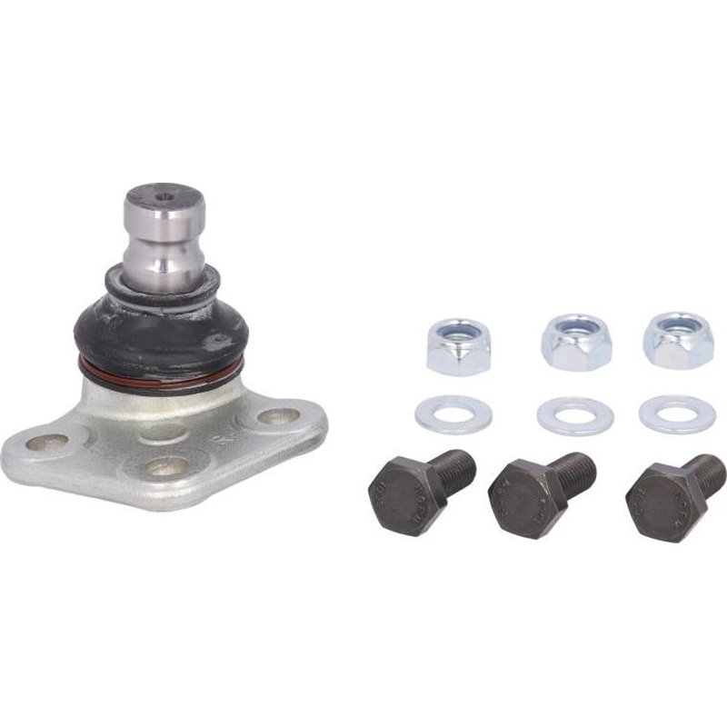 Pivot axa Dreapta inferior fata diametru con 20mm MERCEDES CITAN MIXTO DOUBLE CABIN. CITAN MPV. CITAN-MINIVAN W415. RENAULT KANG