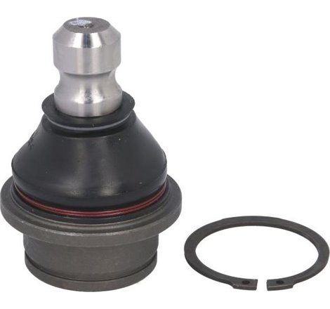 Pivot axa DR-ST inferior fata diametru con 22mm NISSAN NAVARA NP300. PATHFINDER II. PATHFINDER III 2.5D-4.0 09.95- - Delphi-TC21