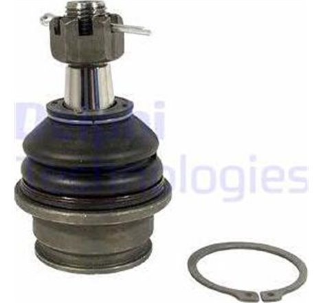 Pivot axa DR-ST inferior fata diametru con 16.5mm TOYOTA FORTUNER. HILUX VII. HILUX VIII 2.4D-3.0D 11.04- - Delphi-TC2437