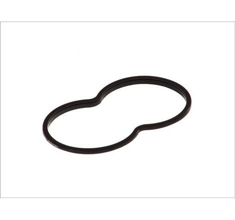 Garnitura, carcasa termostat - DT Spare Parts-1.24111