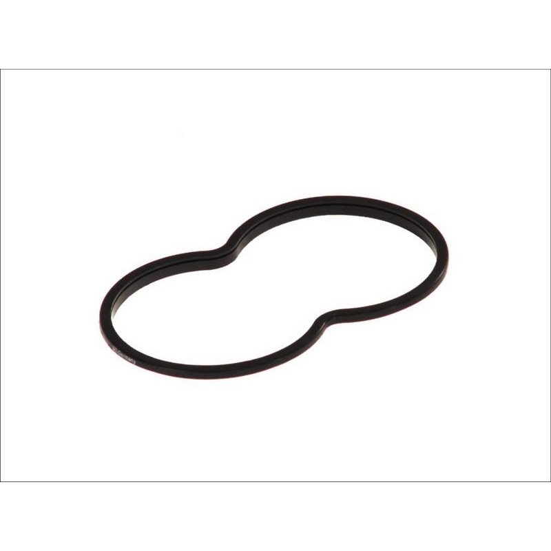 Garnitura, carcasa termostat - DT Spare Parts-1.24111