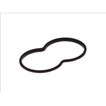 Garnitura, carcasa termostat - DT Spare Parts-1.24111