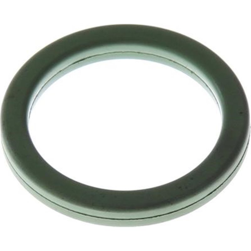 Simering ,pompa ulei - DT Spare Parts-2.11110