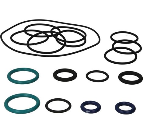 Set garnituri, radiator ulei - DT Spare Parts-2.91304