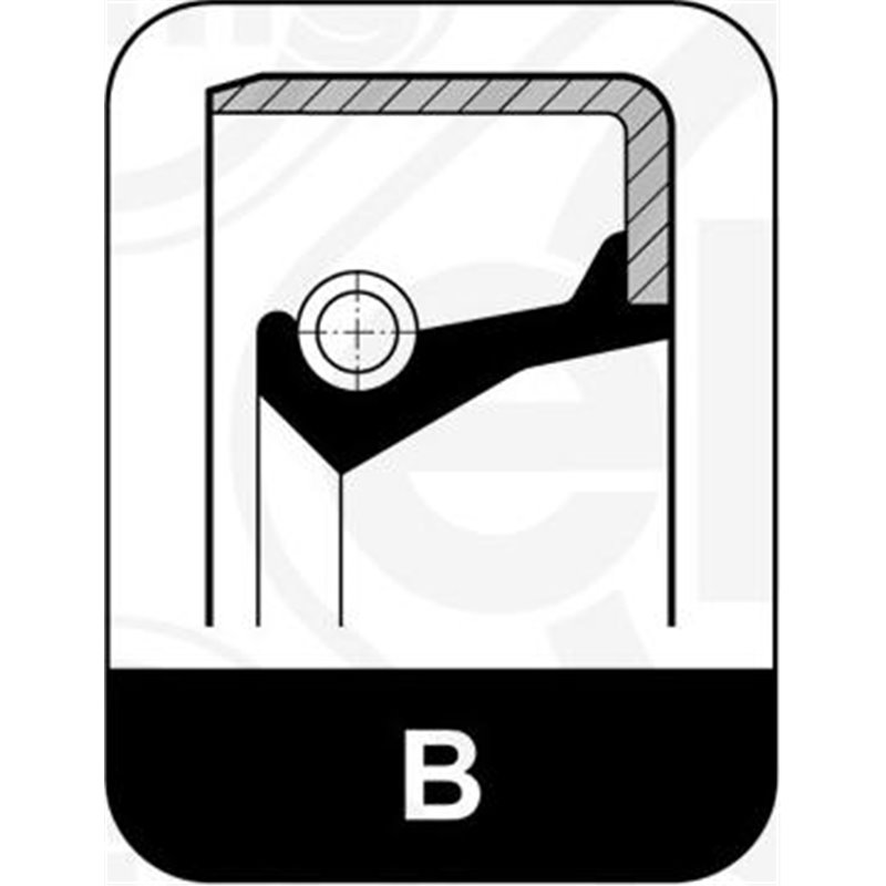 Simering, arbore cotit - Elring-039918