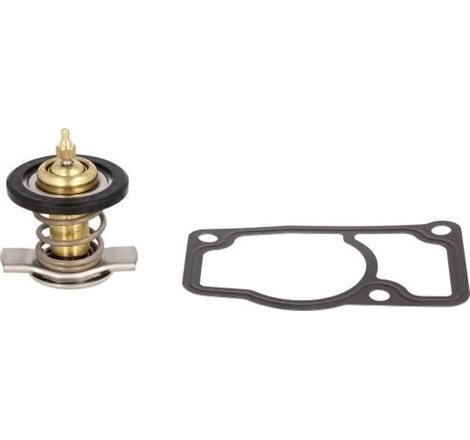 Termostat,lichid racire - EPS-1-880-607