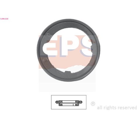 Garnitura termostat - EPS-1-890-530
