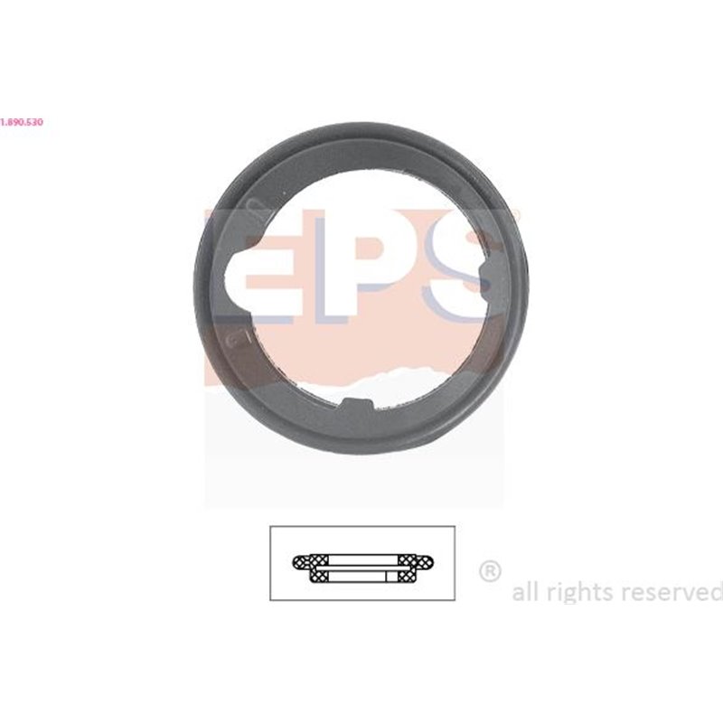 Garnitura termostat - EPS-1-890-530