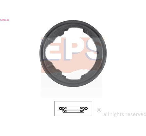 Garnitura termostat - EPS-1-890-548