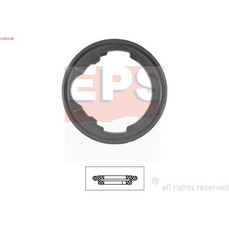 Garnitura termostat - EPS-1-890-548