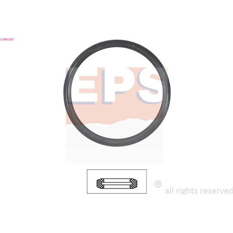 Garnitura termostat - EPS-1-890-567