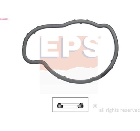Garnitura termostat - EPS-1-890-573