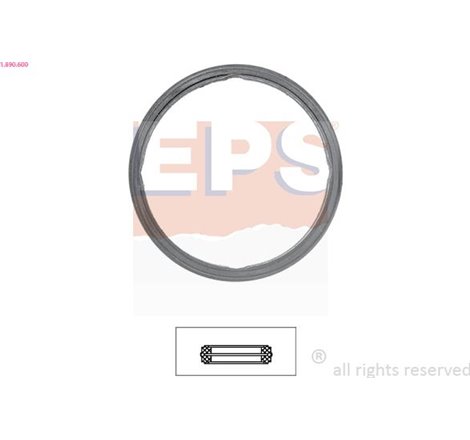 Garnitura termostat - EPS-1-890-600