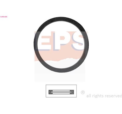 Garnitura termostat - EPS-1-890-605