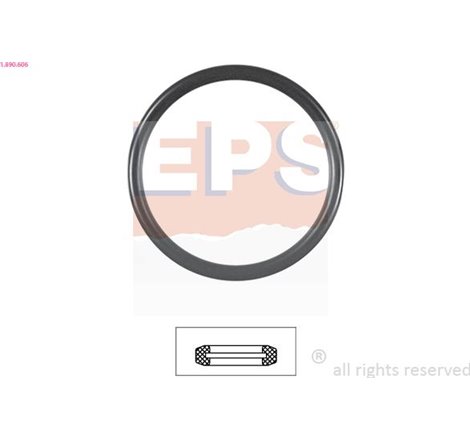 Garnitura termostat - EPS-1-890-606