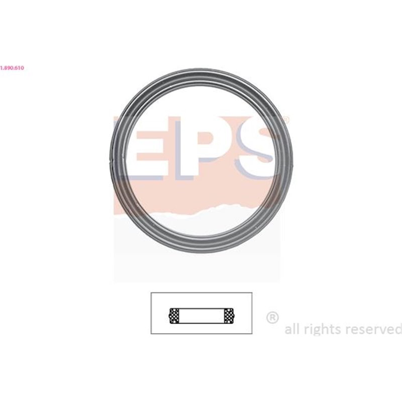 Garnitura termostat - EPS-1-890-610
