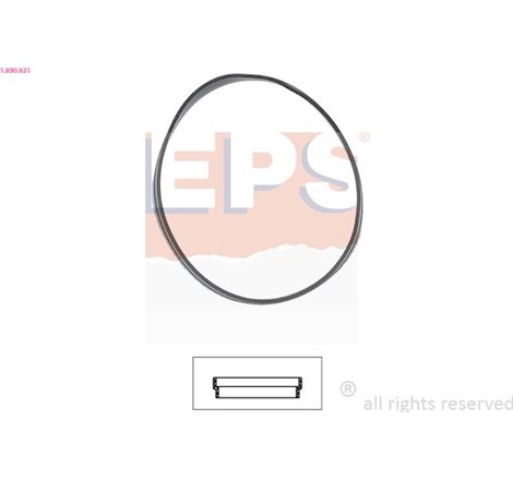 Garnitura termostat - EPS-1-890-631