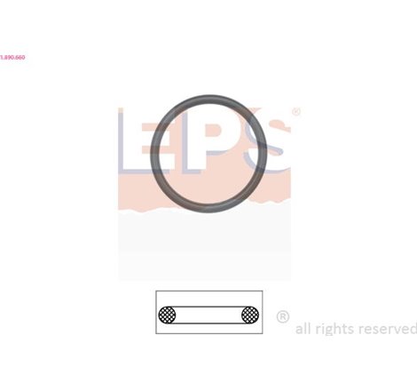 Garnitura termostat - EPS-1-890-660