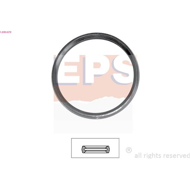 Garnitura termostat - EPS-1-890-679