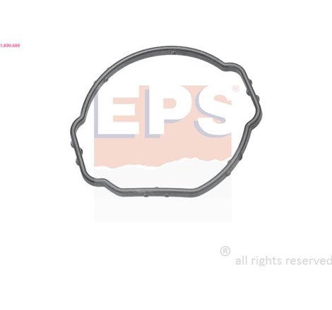 Garnitura termostat - EPS-1-890-689