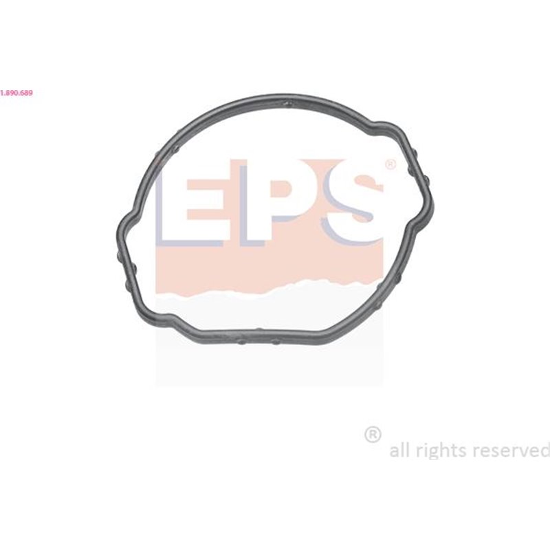 Garnitura termostat - EPS-1-890-689
