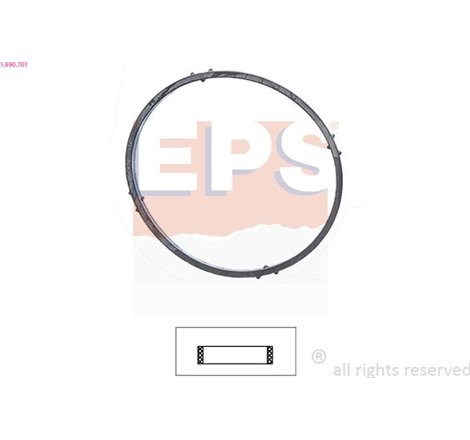 Garnitura termostat - EPS-1-890-701