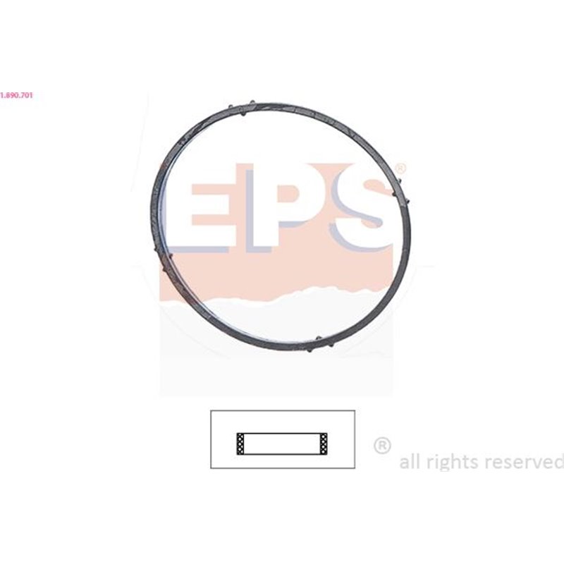 Garnitura termostat - EPS-1-890-701