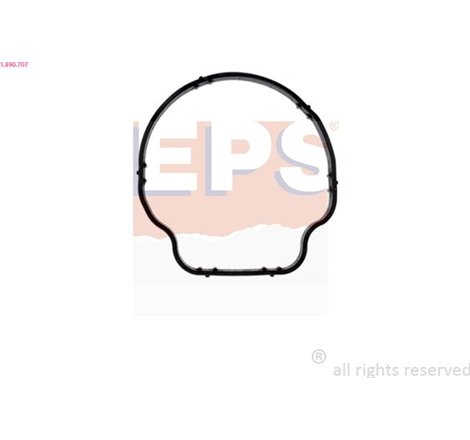 Garnitura termostat - EPS-1-890-707