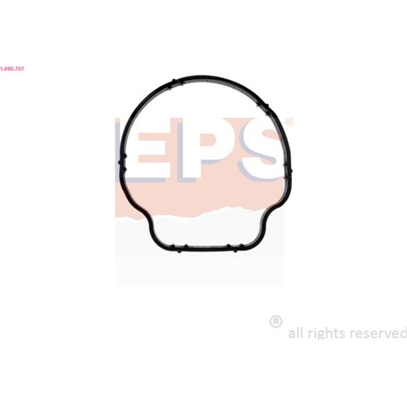 Garnitura termostat - EPS-1-890-707