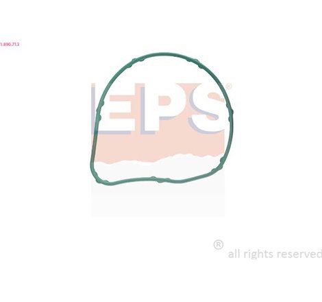 Garnitura termostat - EPS-1-890-713