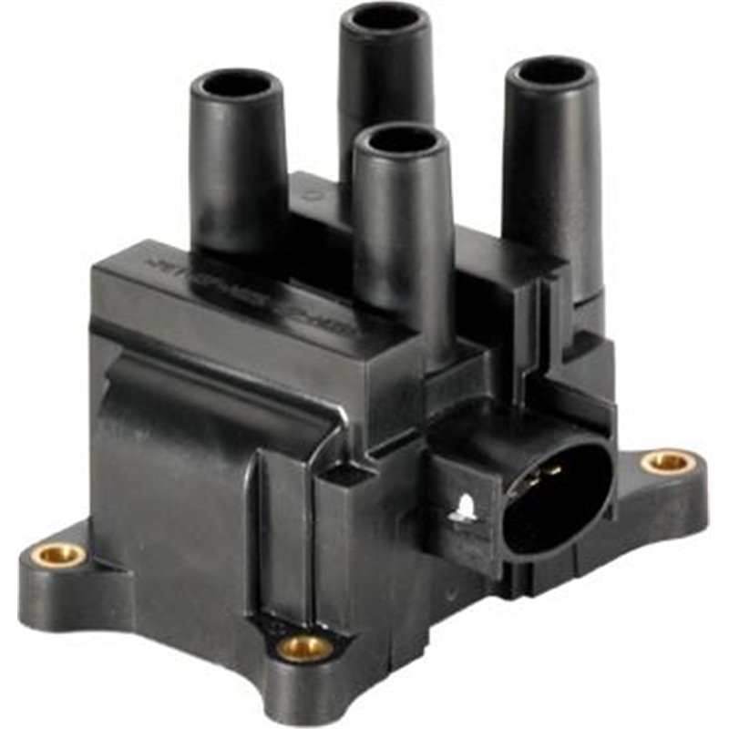 Bobina de inductie - ERA-880049A