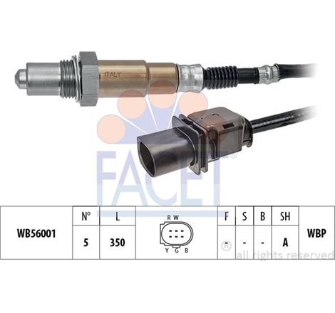 Sonda Lambda - FACET-10.8389