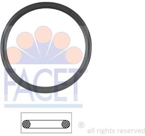 Garnitura termostat - FACET-7.9538