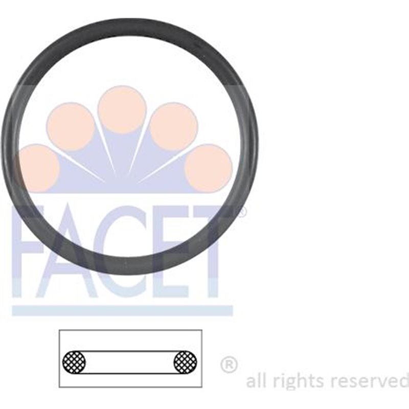 Garnitura termostat - FACET-7.9538