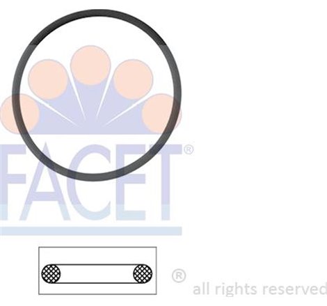 Garnitura termostat - FACET-7.9550