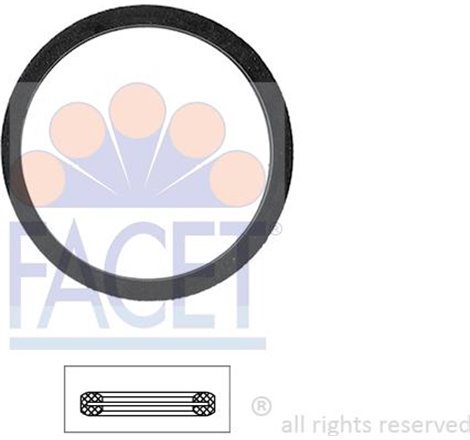 Garnitura termostat - FACET-7.9568