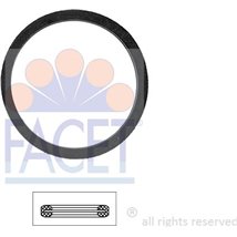 Garnitura termostat - FACET-7.9568