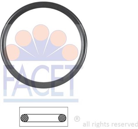 Garnitura termostat - FACET-7.9590