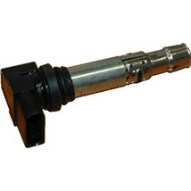 Bobina de inductie - FACET-9.6374