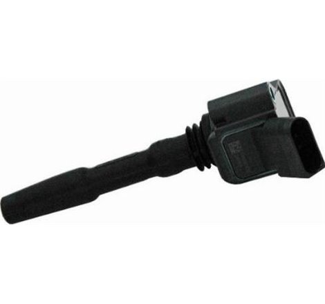 Bobina de inductie - FACET-9.6536