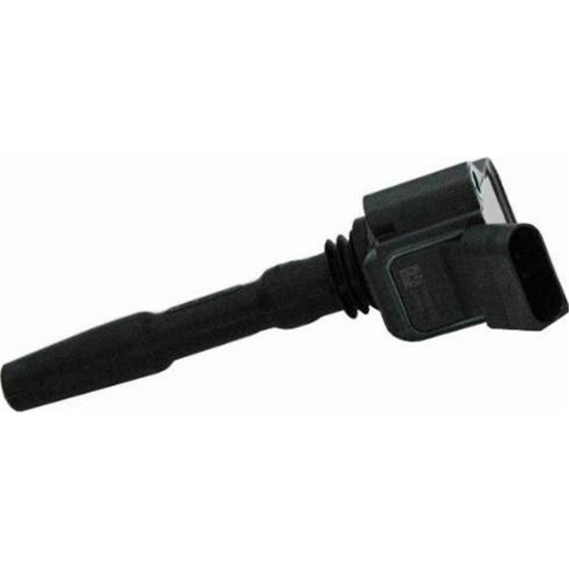 Bobina de inductie - FACET-9.6536