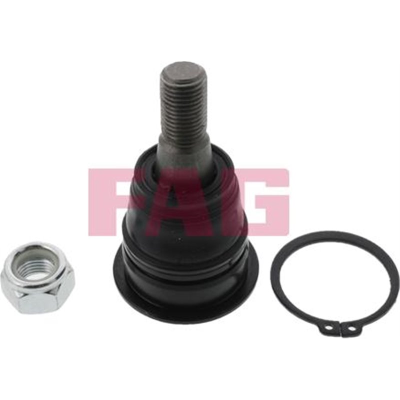 Pivot axa DR-ST inferior fata diametru con 15.2mm NISSAN ALMERA II. ALMERA TINO. MAXIMA-MAXIMA QX V. PRIMERA 1.6-3.5 03.00- - FA